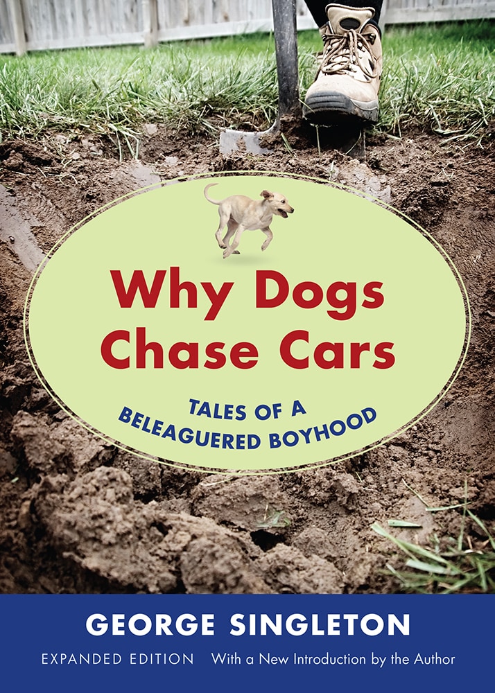 why do dogs chase cars?