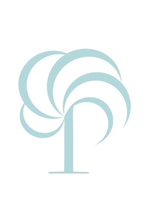 USC Press logo icon.