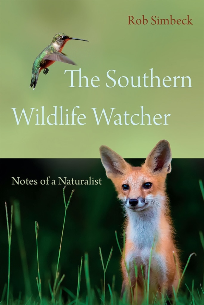 The Southern Wildlife Watcher