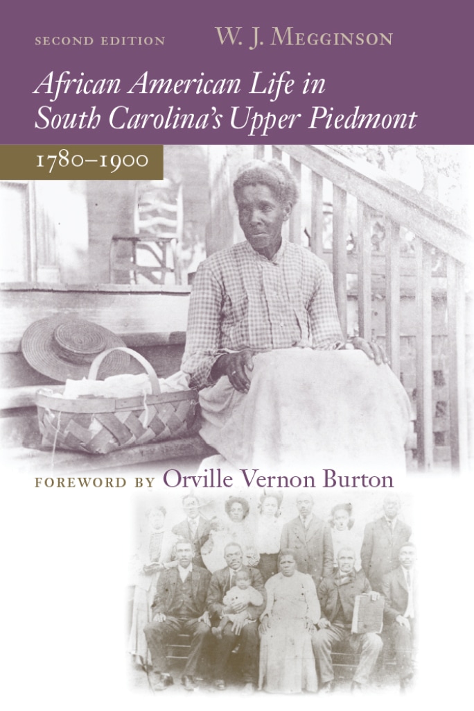 African American Life in South Carolina's Upper Piedmont, 1780-1900, second edition