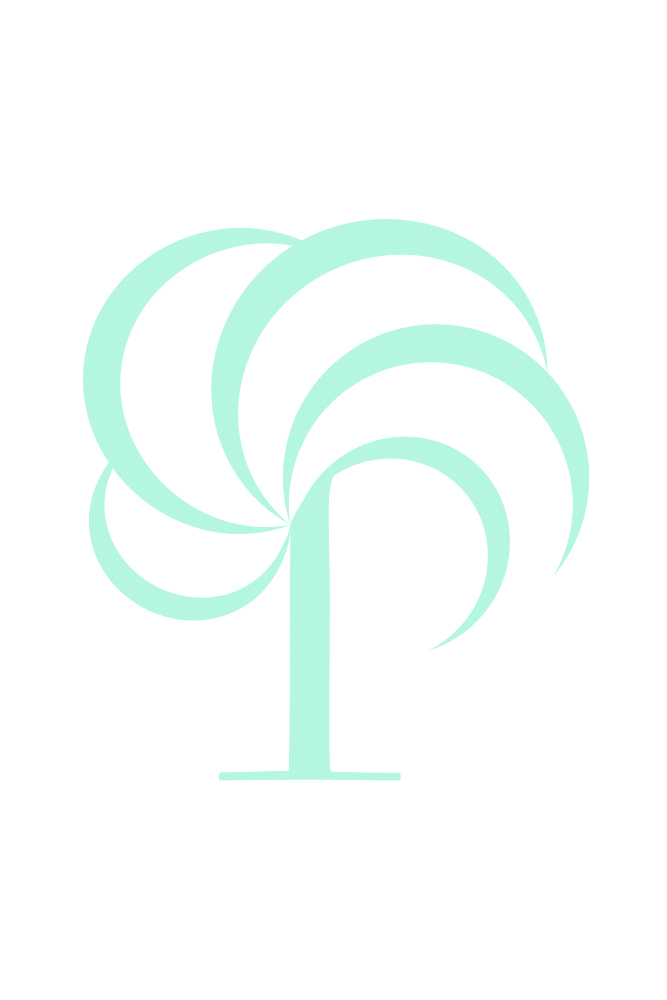 The History and Science of Earthquakes in South Carolina, 1698-2025